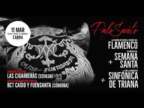 Palo Santo - La Pasión | Orquesta Sinfónica de Triana y Daniel Casares