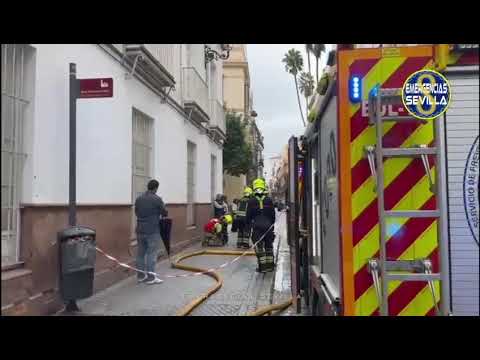 Los bomberos de Sevilla intervienen en el incendio de San Antonio abad