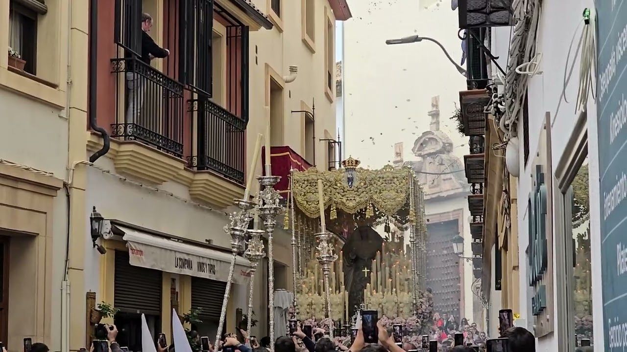 Petalada a la Alegría en Conde de Cárdenas