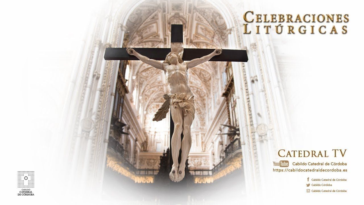 Solemne Eucaristía de XXVIII Domingo del Tiempo Ordinario