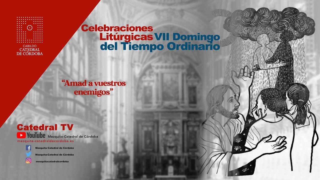 VII Domingo del Tiempo Ordinario