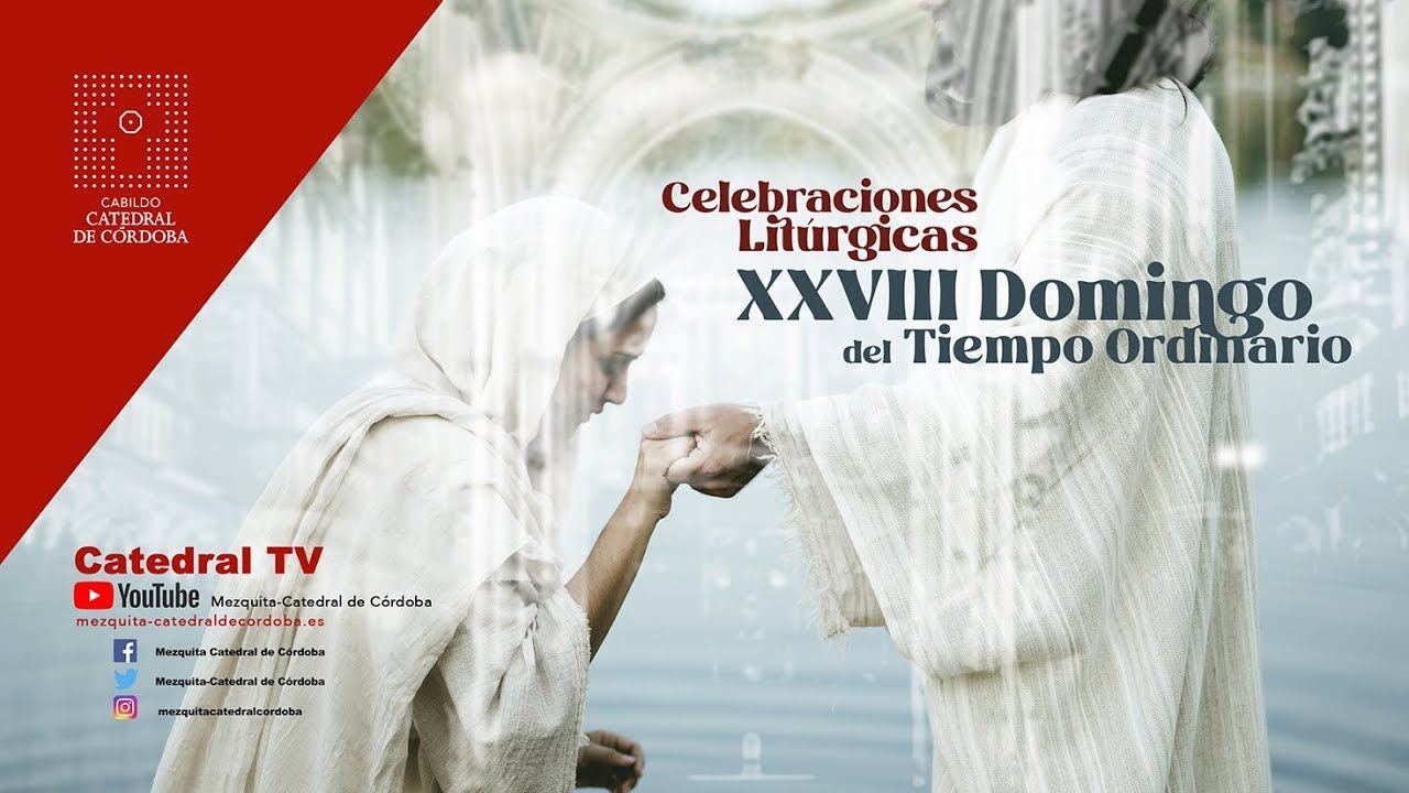 XXVIII Domingo del Tiempo Ordinario